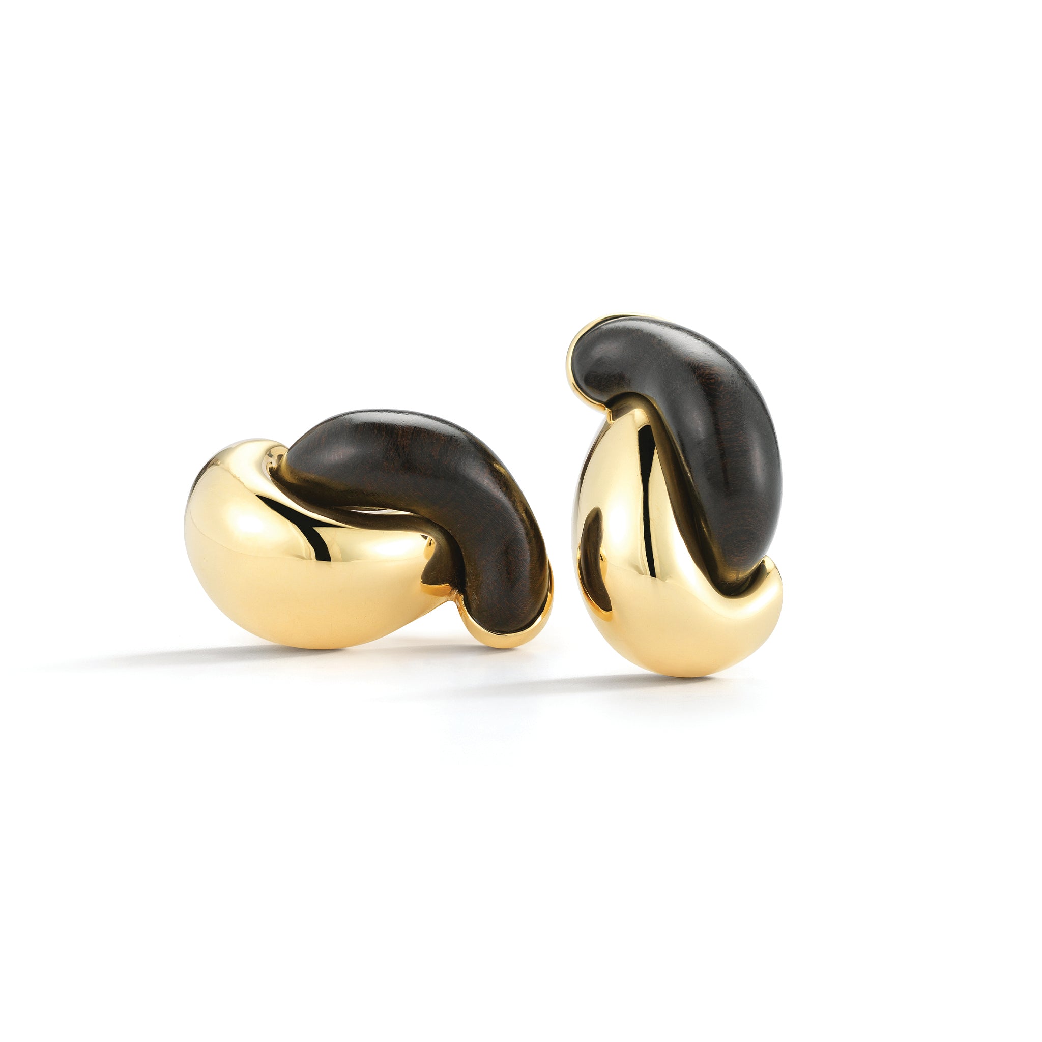 Half Link Earrings in Ebony