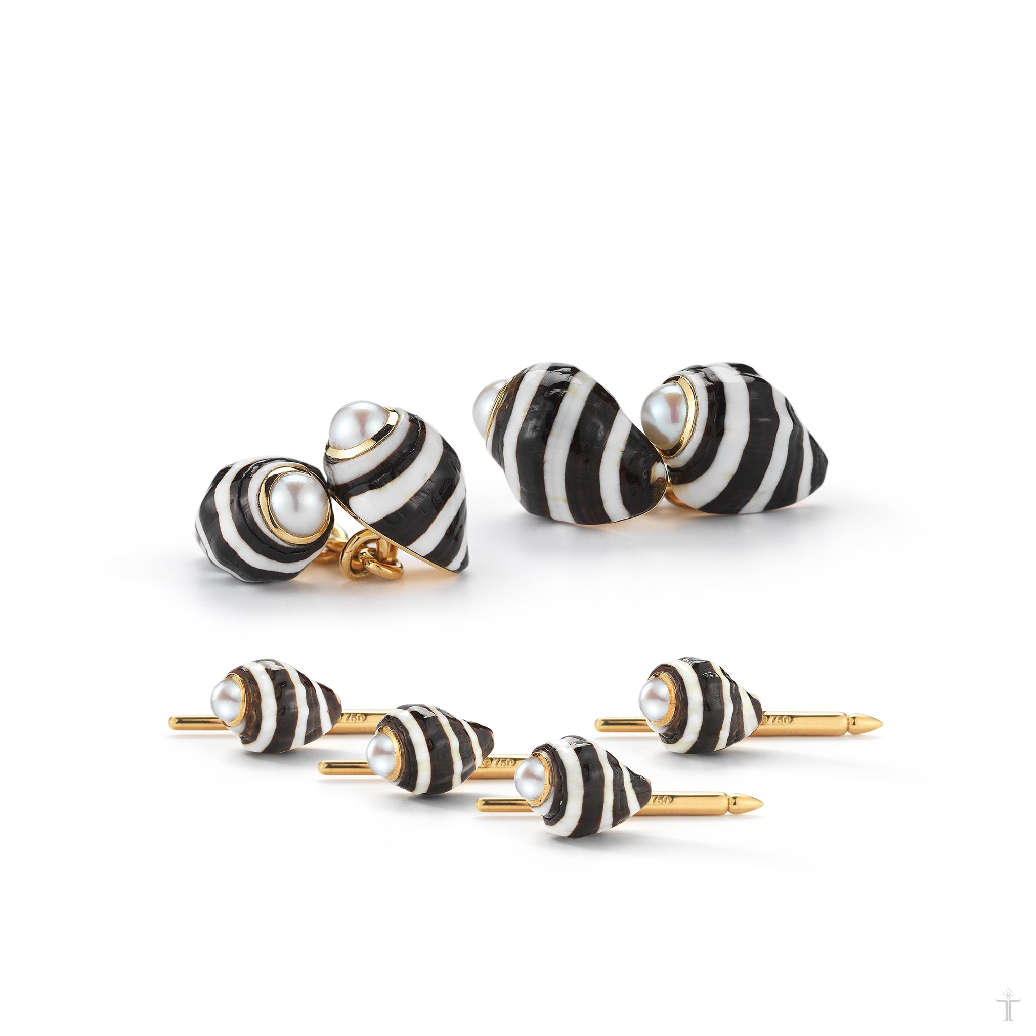 Shell Cufflinks