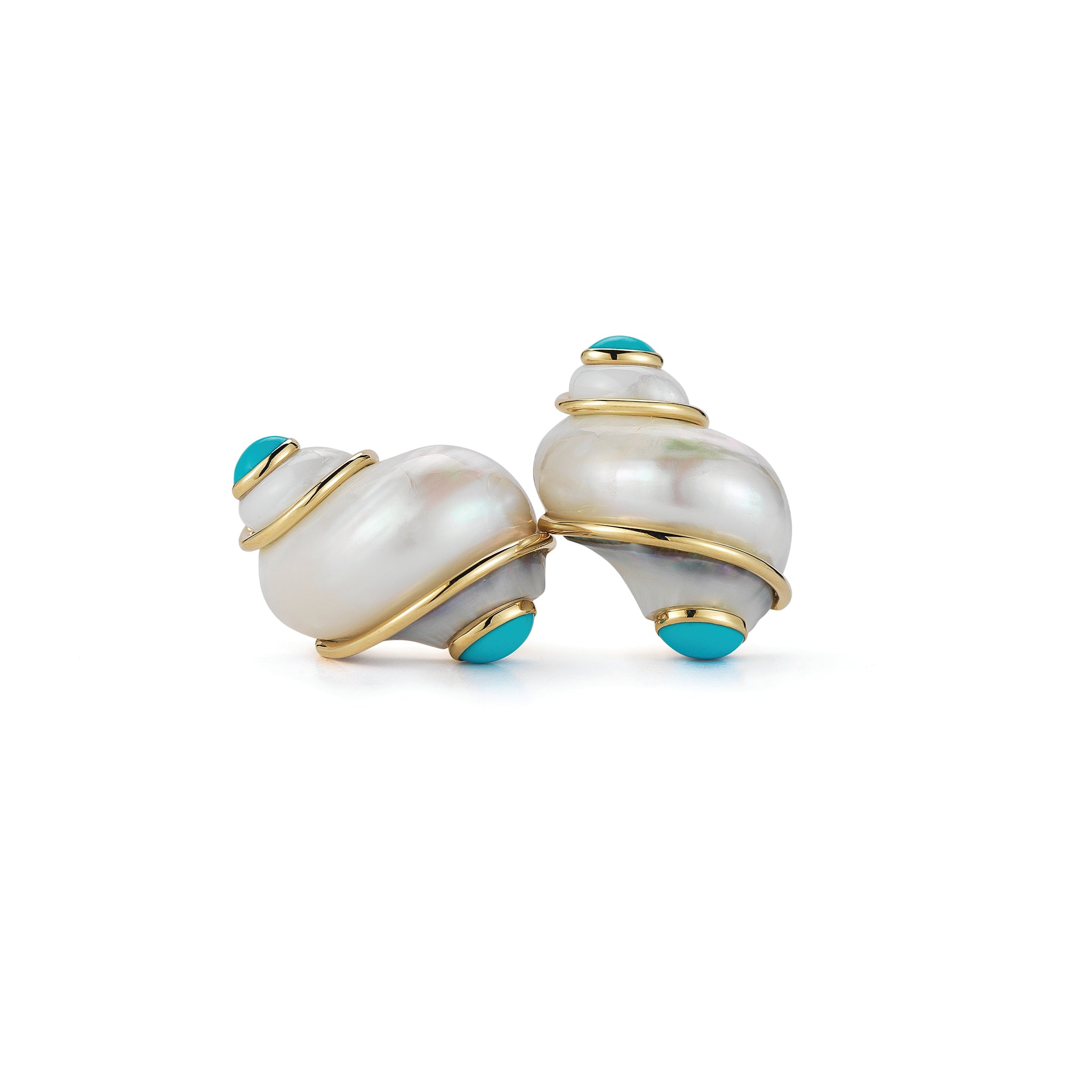 Turbo Shell Earrings in Turquoise
