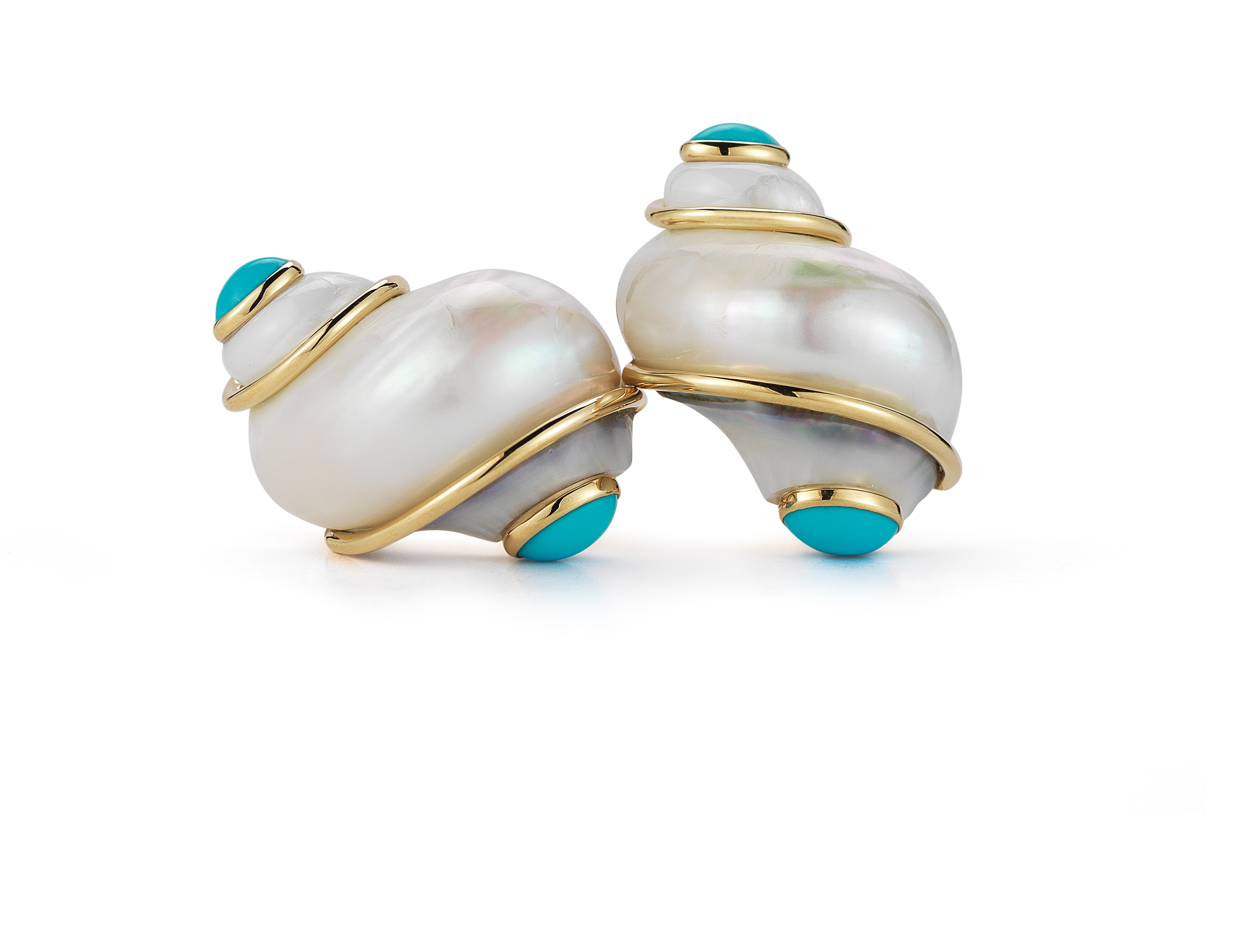 Turbo Shell Earrings in Turquoise