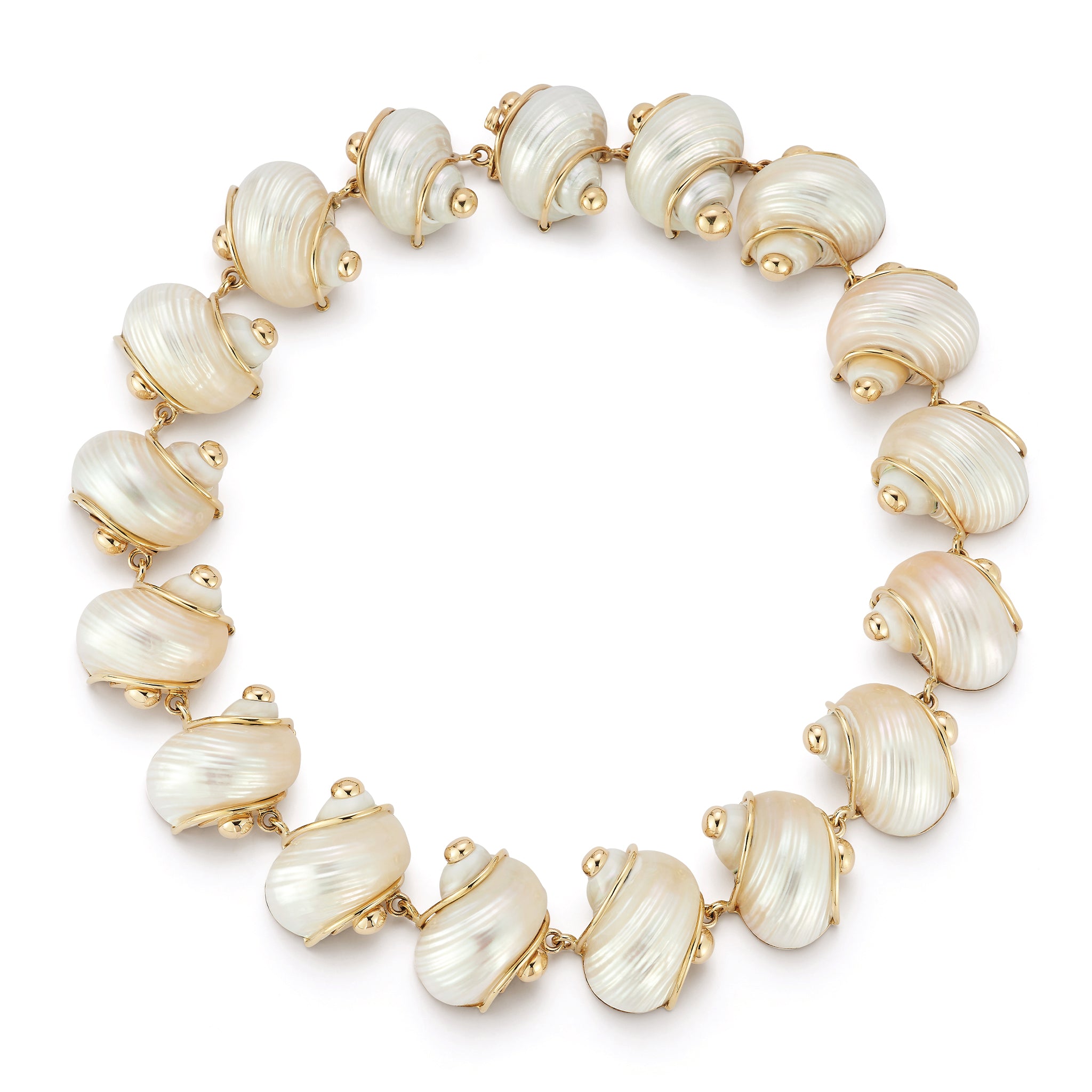 最終 新品 shetokyo シートーキョー Eleanor Seashell Turbo Shell Necklace