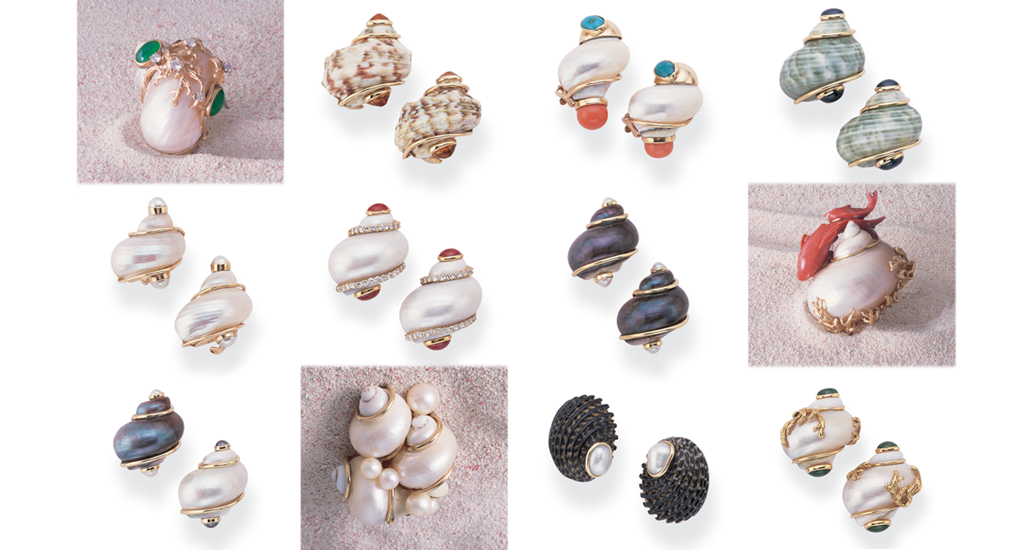 Variety of Shells that have been designed by us