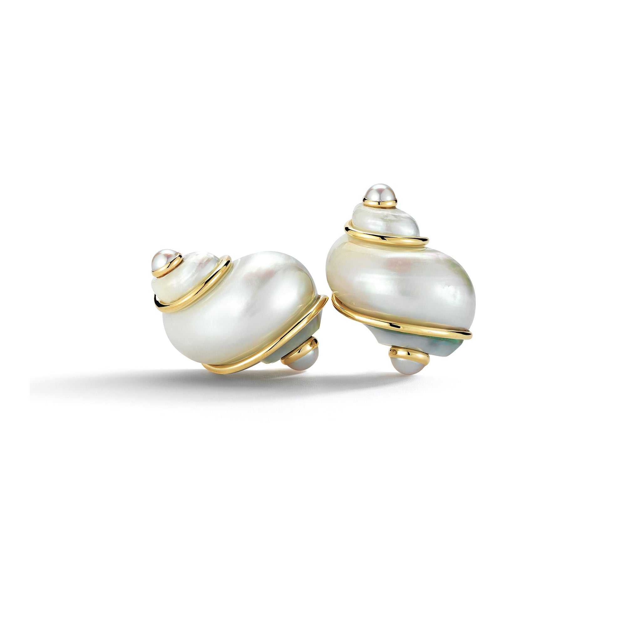 Turbo Shell Earrings in Pearl