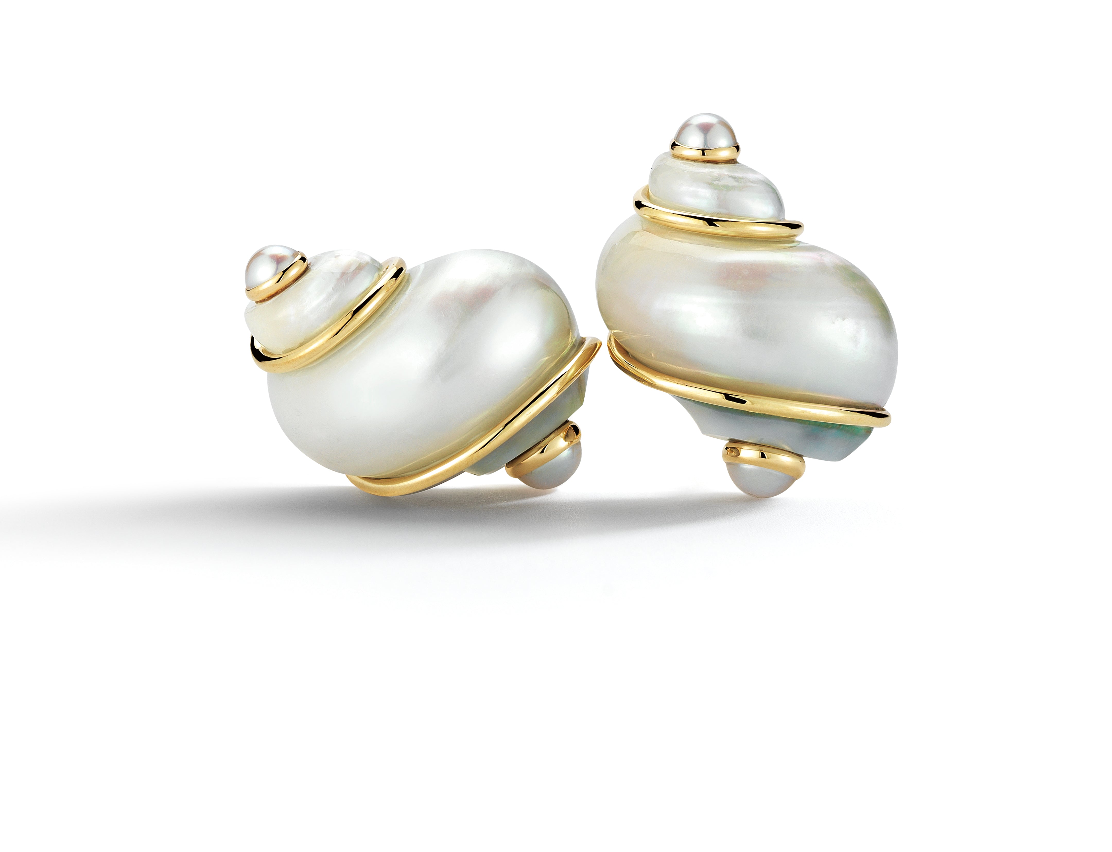 Turbo Shell Earrings in Pearl